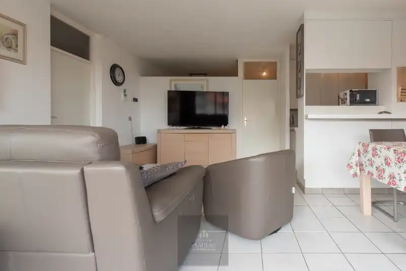 Zongericht appartement met één slaapkamer en slaaphoek. foto 10