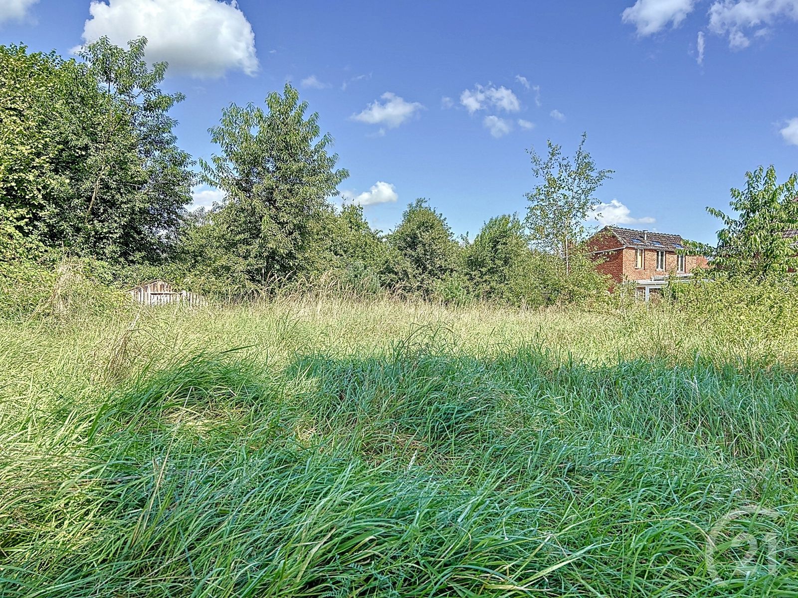 Bouwgrond te koop in Begijnendijk! foto 4