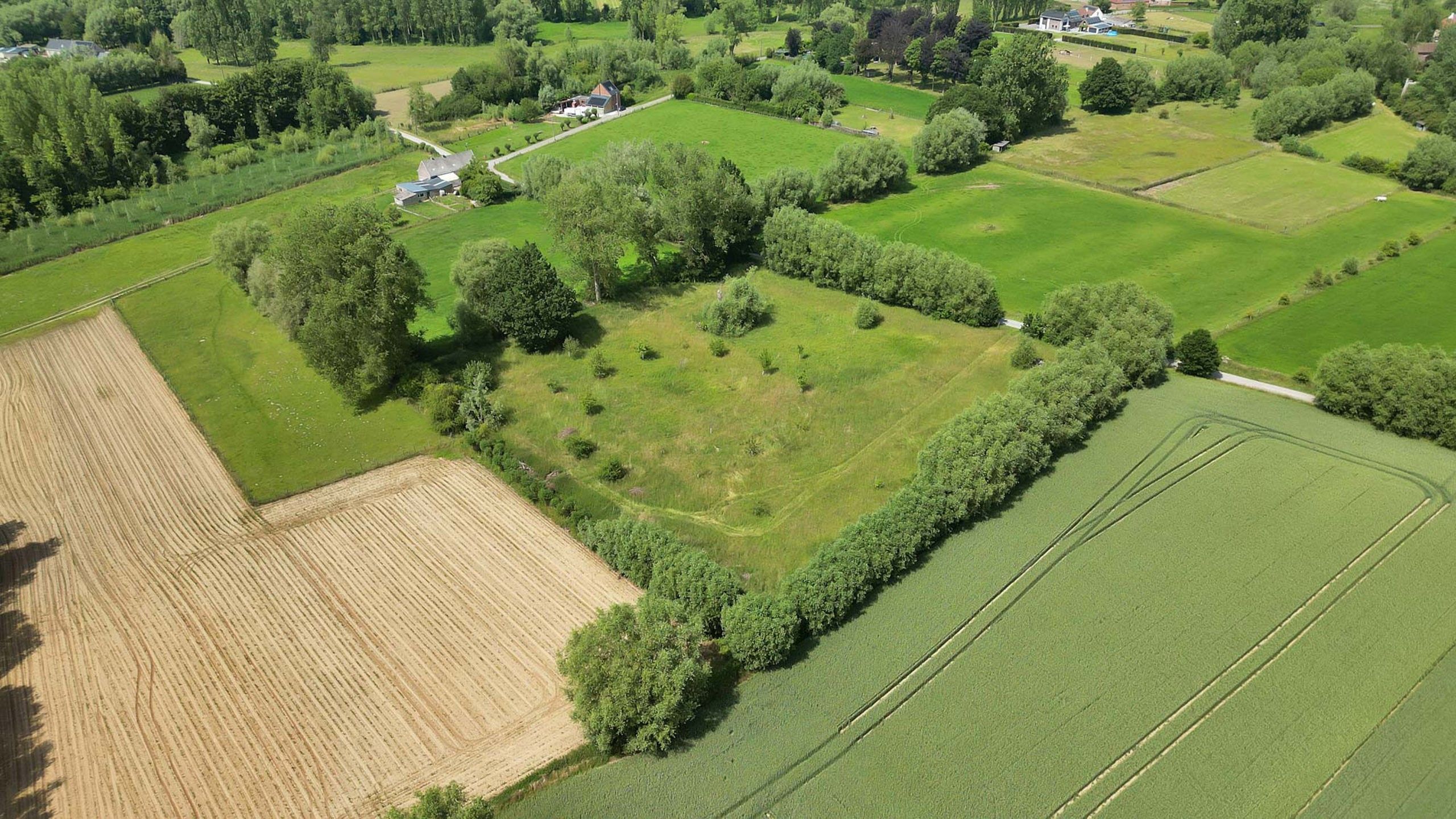 Weideland op een goede locatie foto 4