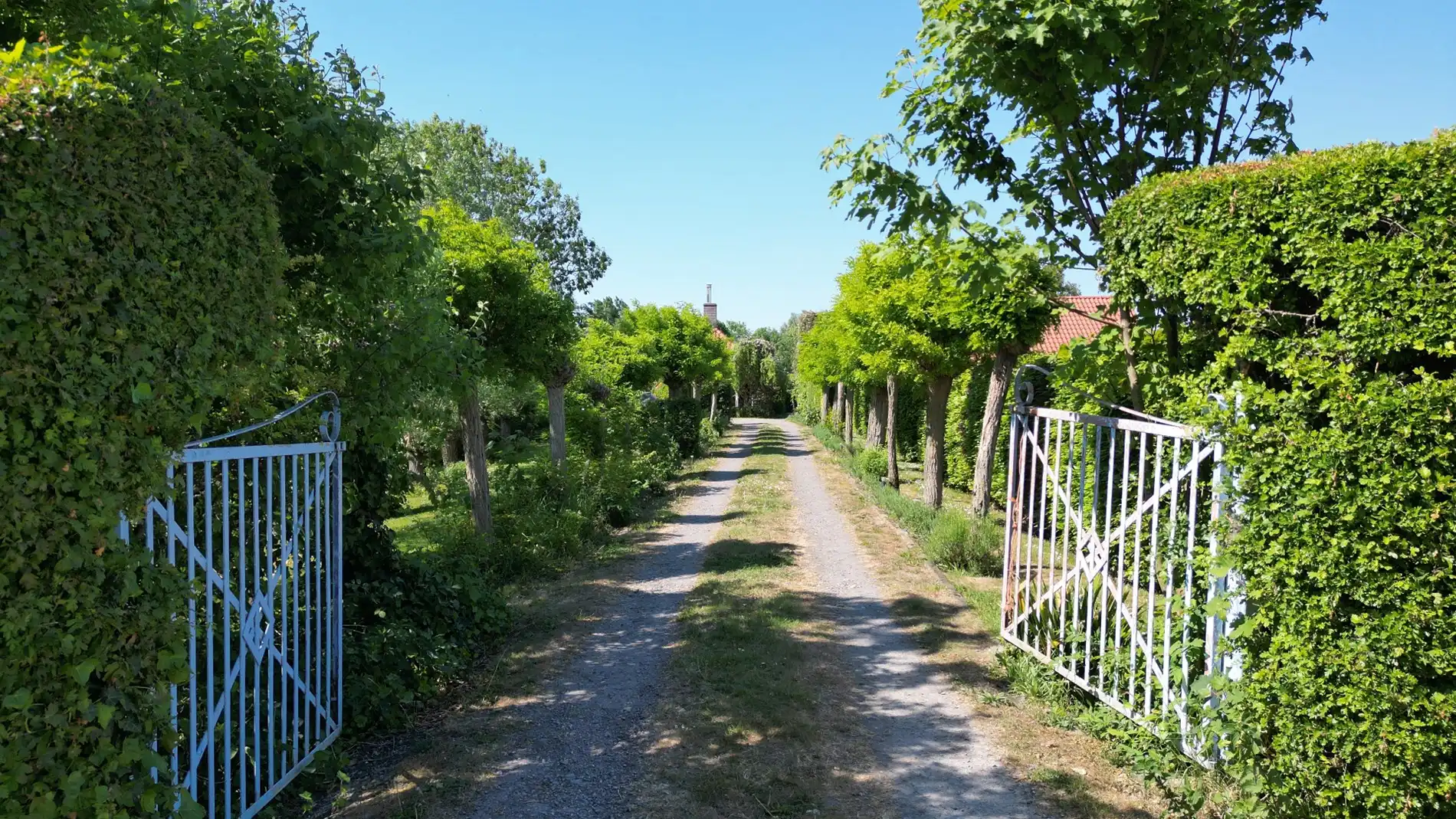 Charme en idylle nabij Sluis foto 4