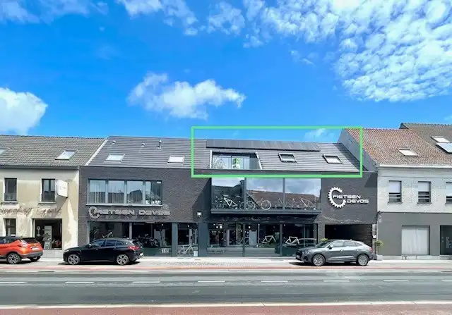 RECENT EN LICHTRIJK APPARTEMENT MET 2 KAMERS EN PARKEERPLAATS foto 4