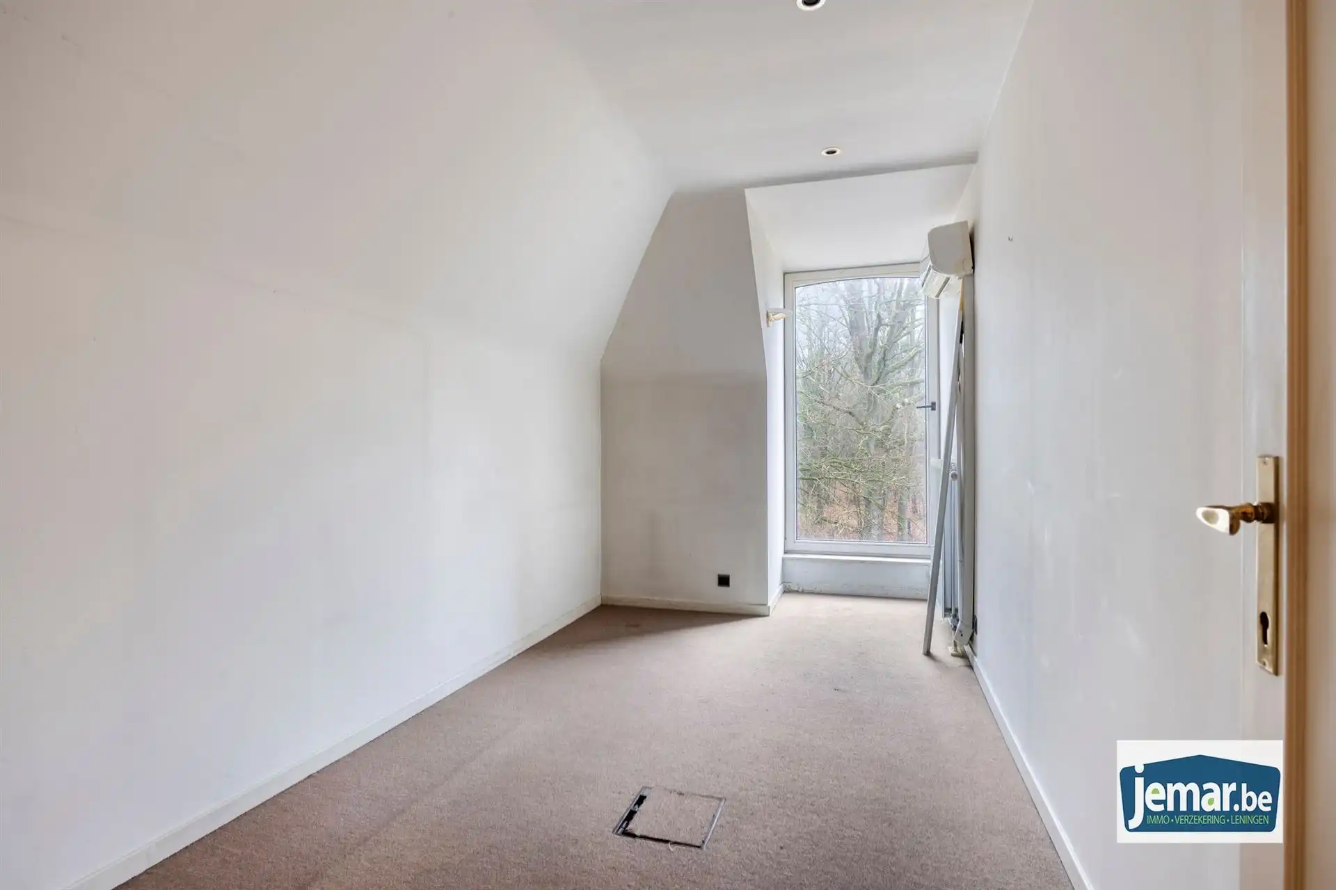 Villa met professionele opslagruimte, kelder en kantoorruimtes. foto 35