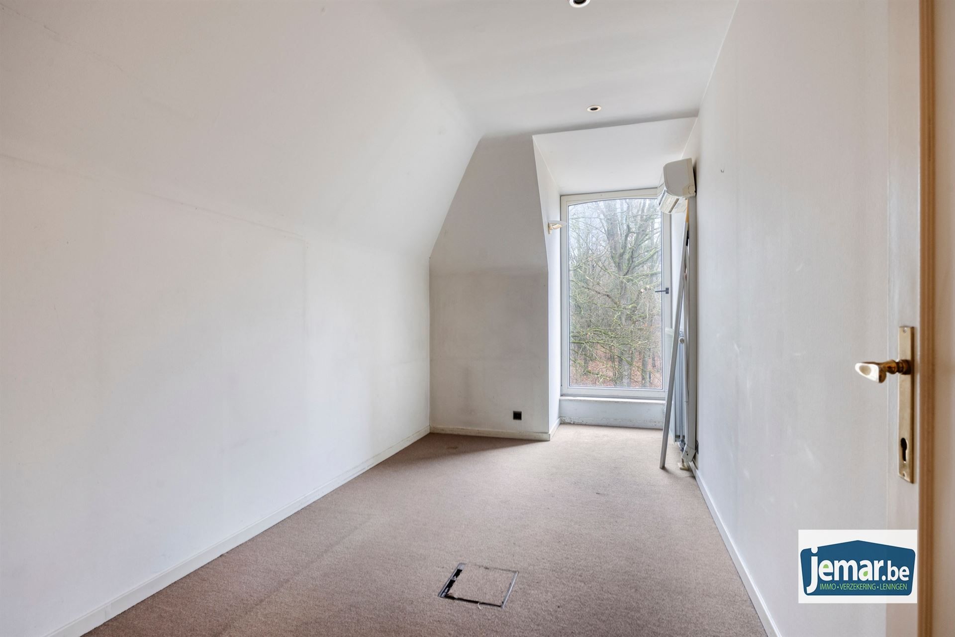 Villa met professionele opslagruimte, kelder en kantoorruimtes. foto 35