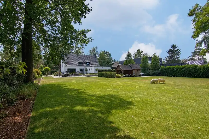 Landelijk&nbsp;ingerichte villa op exclusief en rustig gelegen perceel met een straatbreedte van 38m terug te vinden in één van de meeste geliefde Hasseltse buurten 'Berkenveld' foto 19