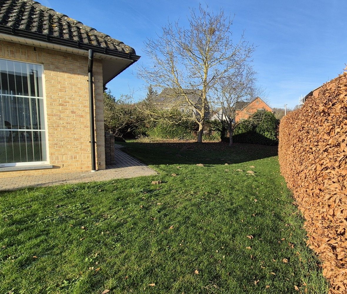 Gezellige gelijkvloerse open bebouwing te huur in Holsbeek – Nieuwrode foto 15