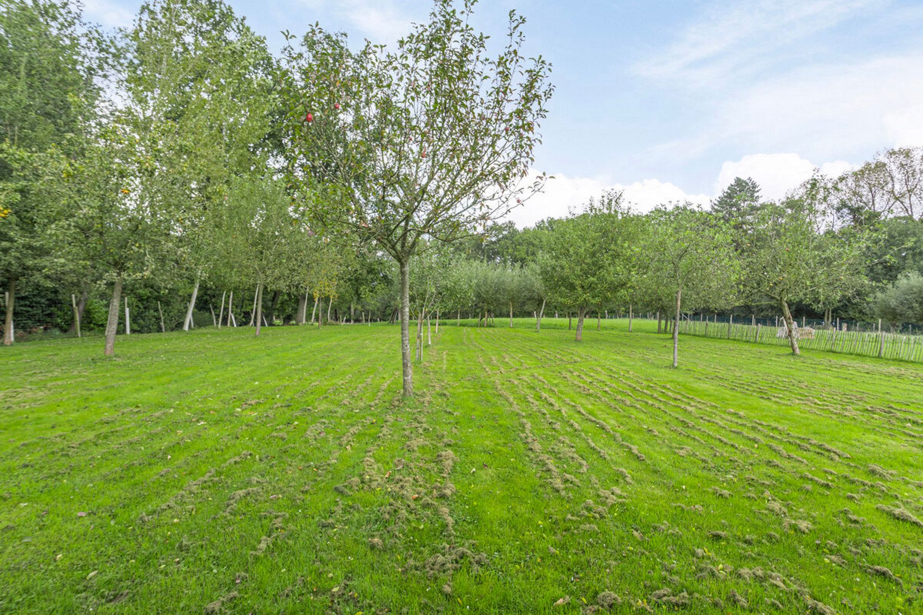 Zeer verzorgde villa met weids zicht achteraan foto 21