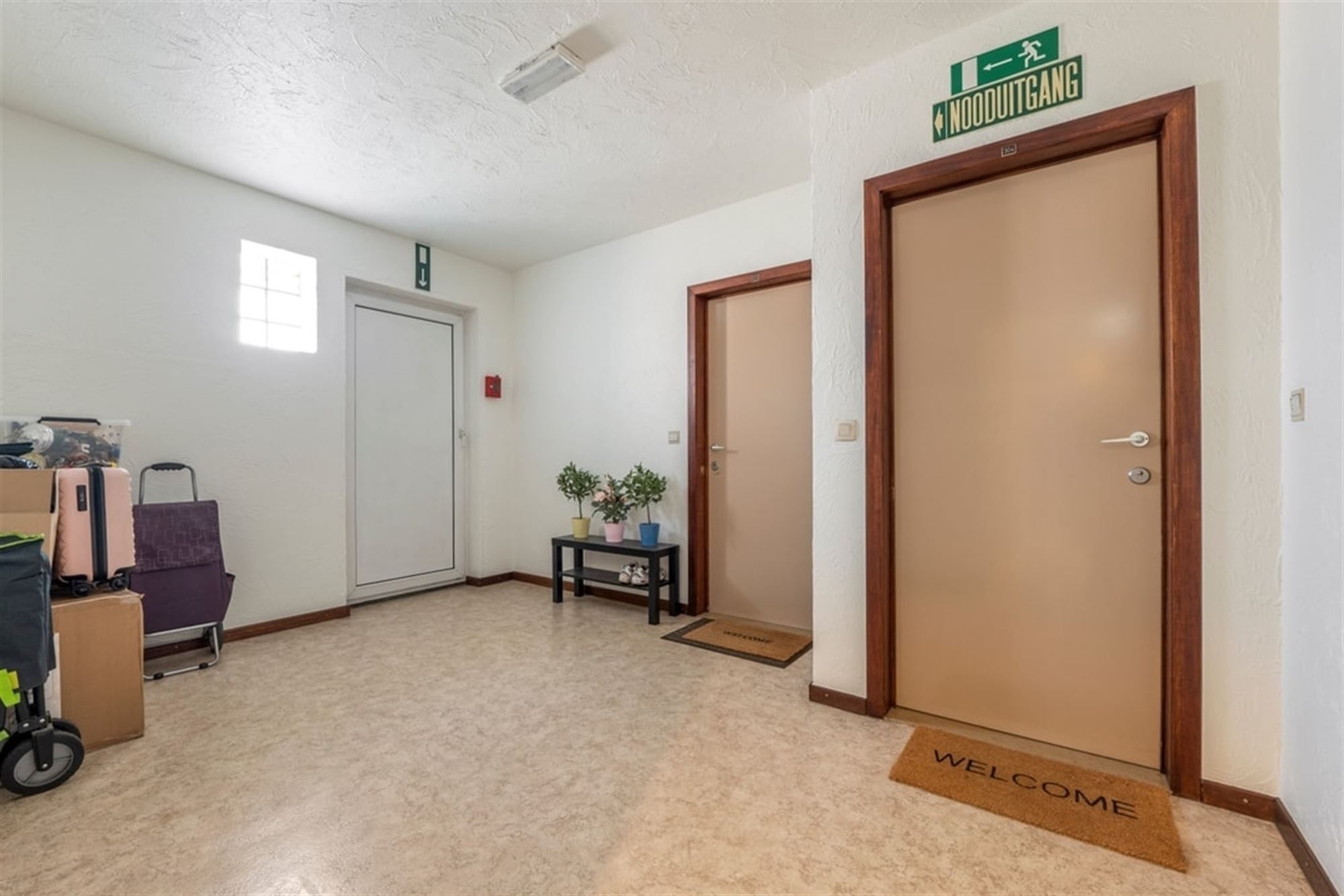 KNAP 2 SLK APPARTEMENT OP WANDELAFSTAND VAN HET CENTRUM VAN SINT-TRUIDEN  foto 15