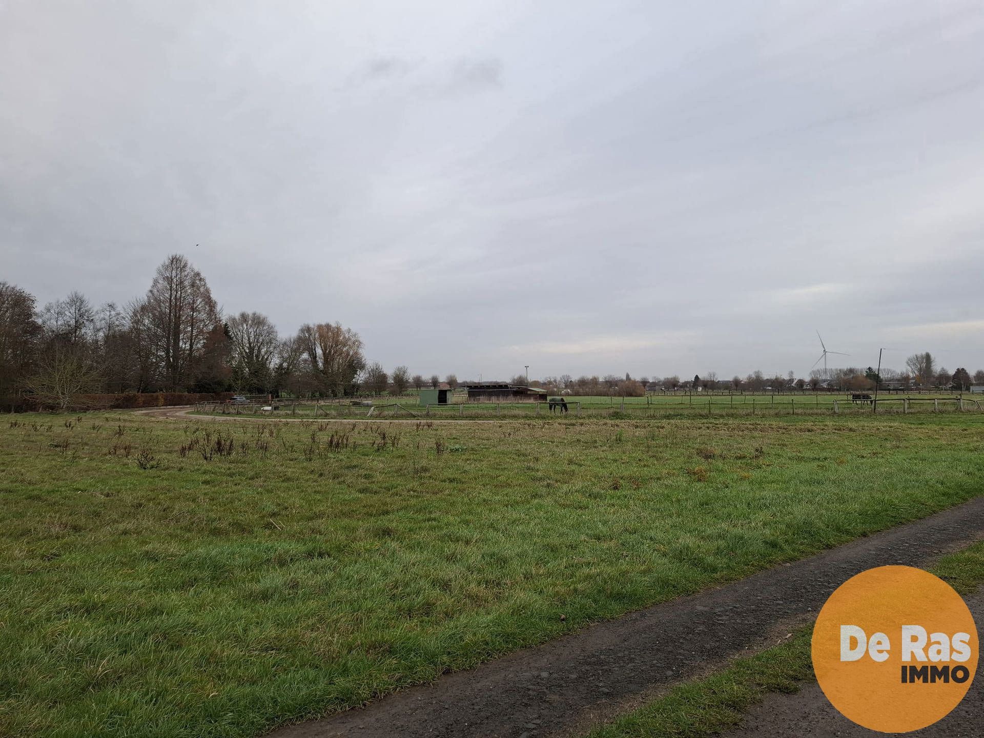 HAALTERT– Perceel weiland van 35a 76ca foto 3