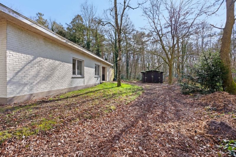 Renovatieproject in de Bossen van Lembeke – Een unieke kans! foto 11