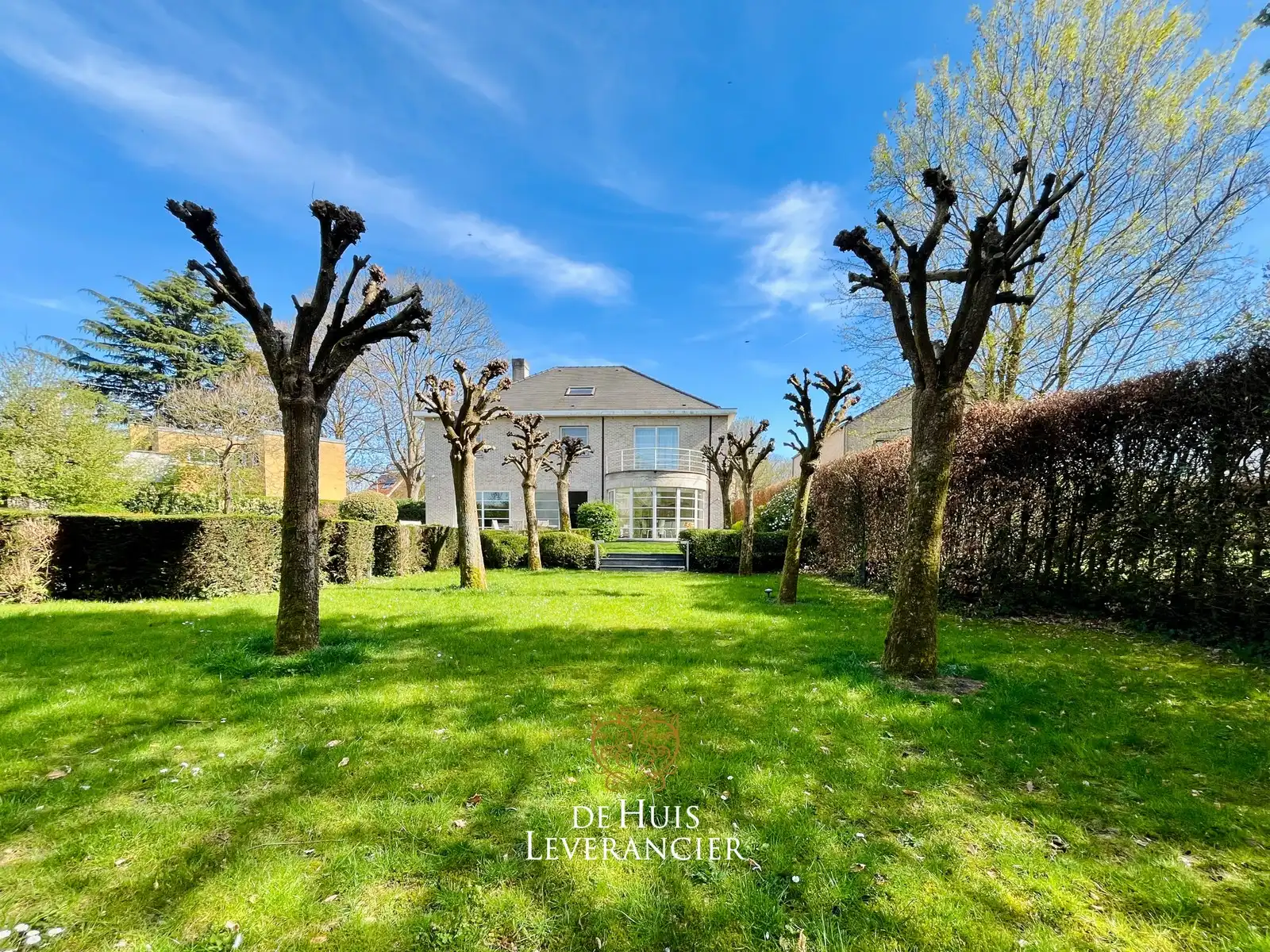 Exclusieve villa op uitzonderlijk perceel van 1 767 m², grenzend aan natuurgebied foto 11