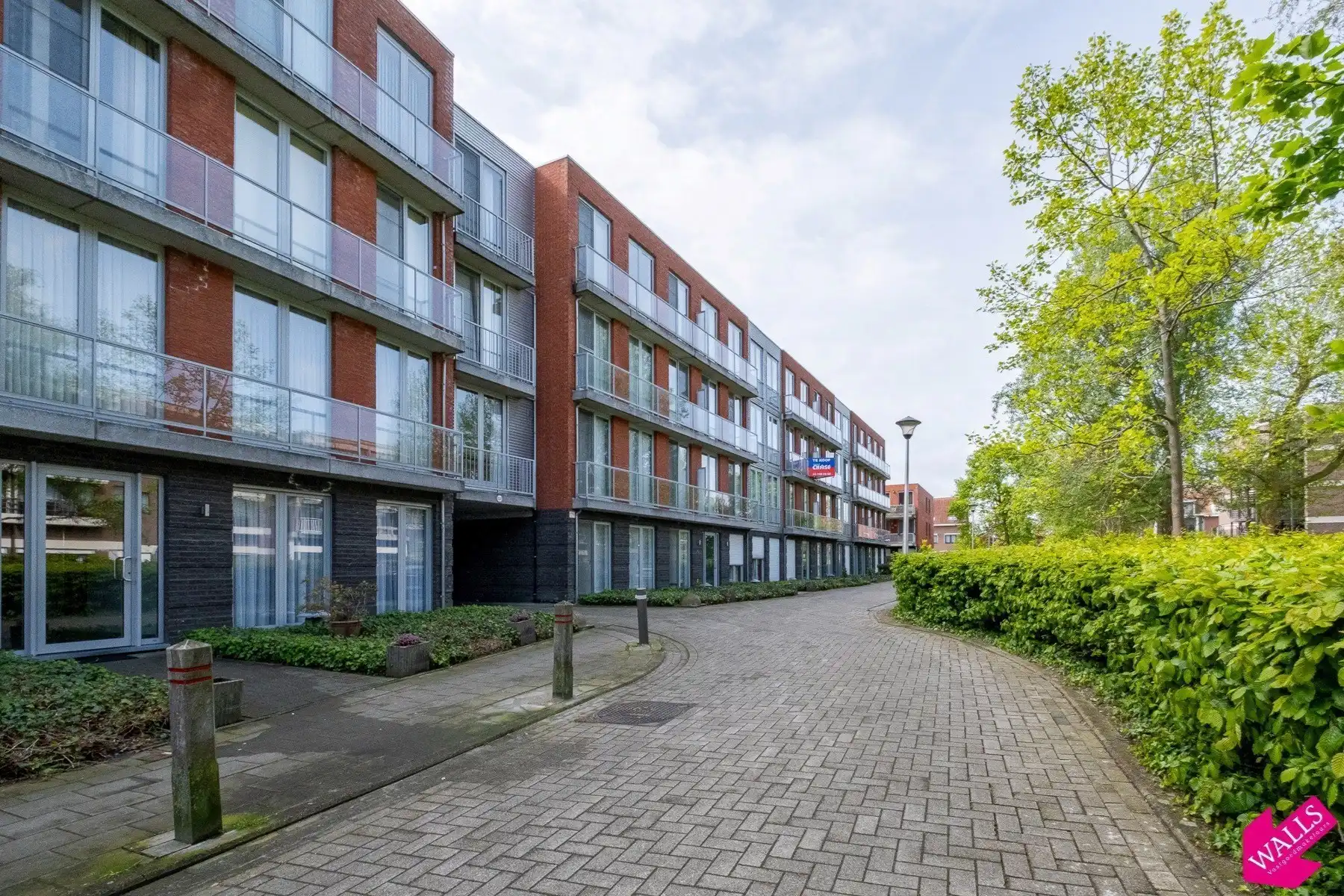 Te koop: kelderberging foto 2