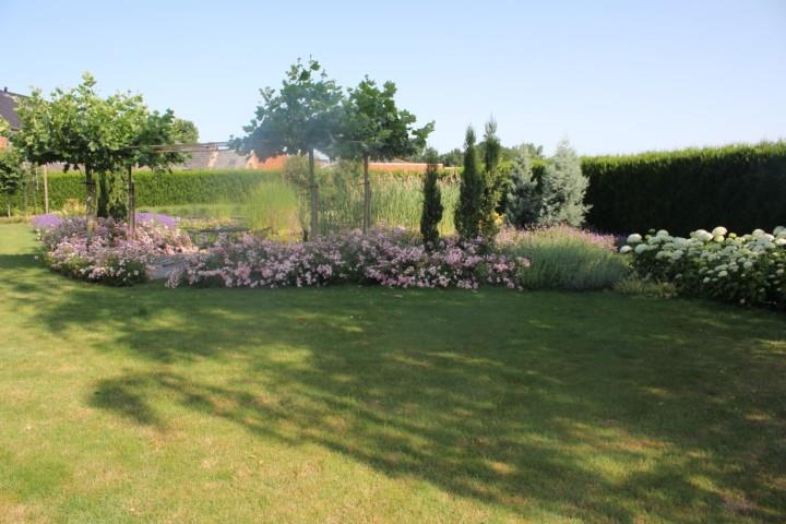 Huis te huur foto 15