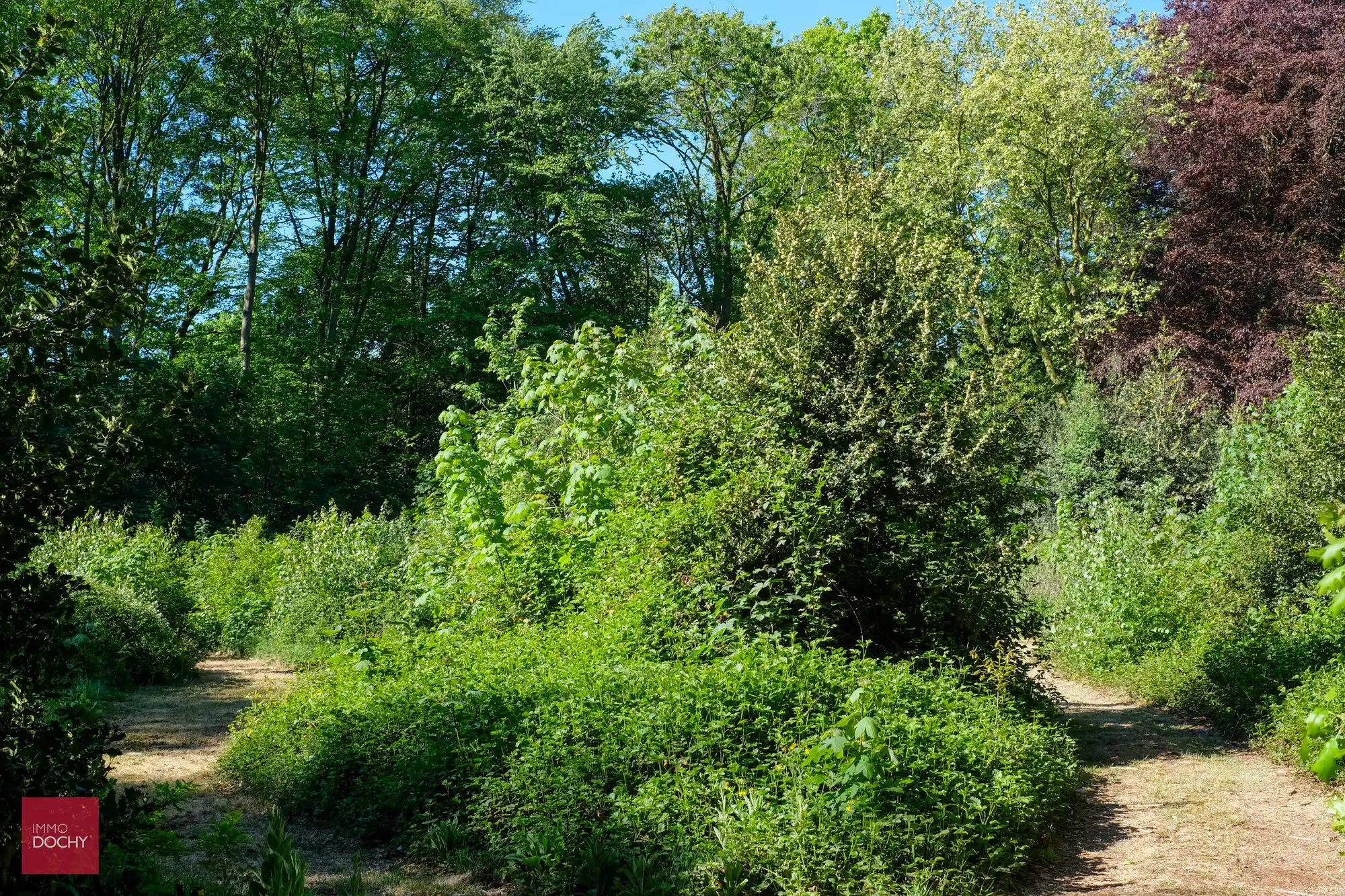 Uniek domein met ruime villa in prachtige parktuin op 2,7ha foto 7