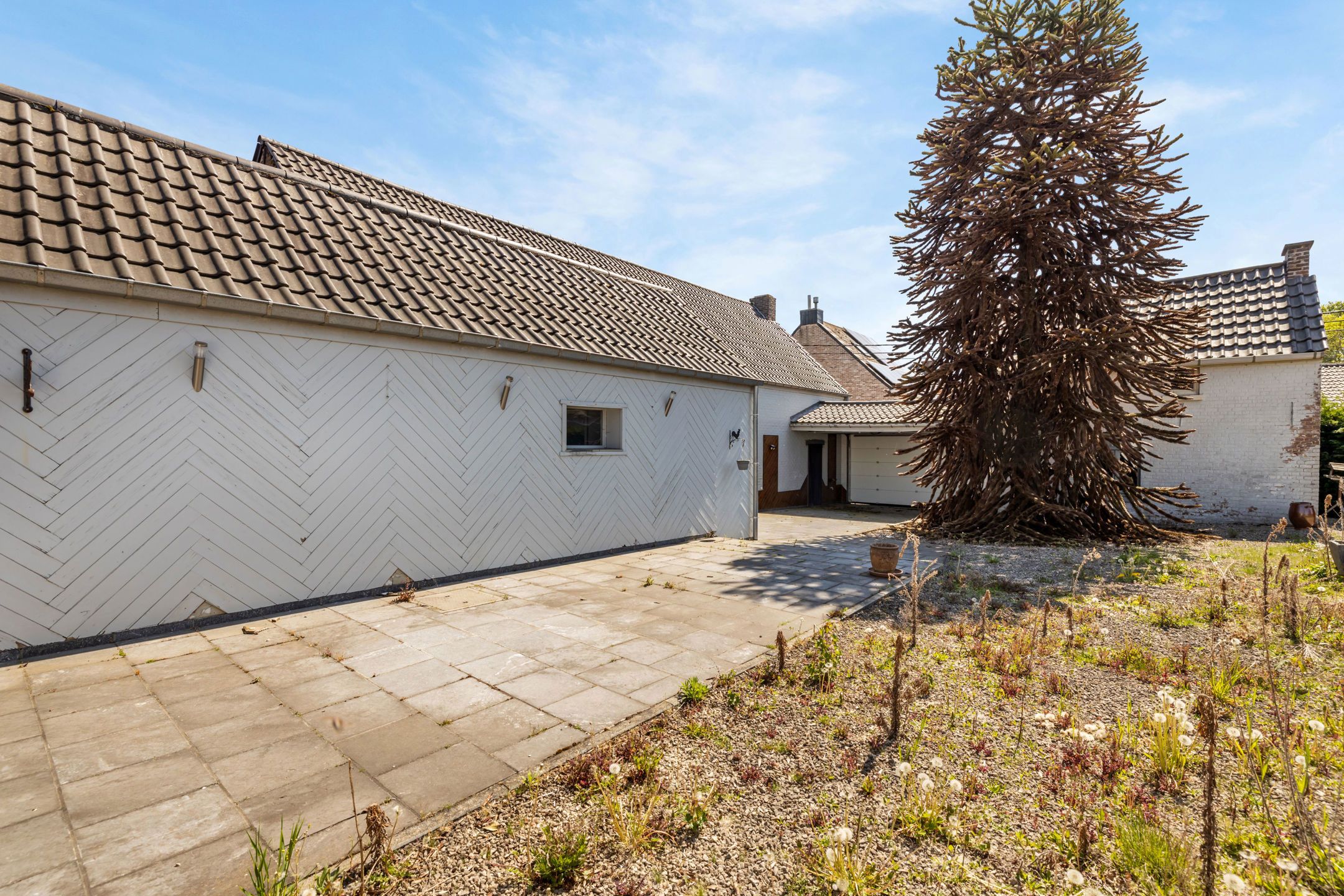Ruime woning met garage + atelier + (bouw) grond op 9a 30ca foto 28