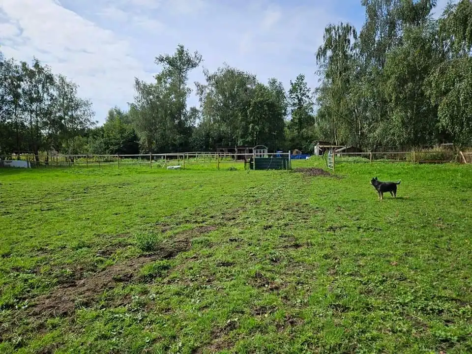 Weiland met paardenstallen op een opp. van 1,43ha foto 8