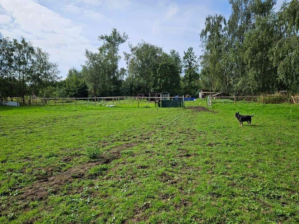 Weiland met paardenstallen op een opp. van 1,43ha foto 8