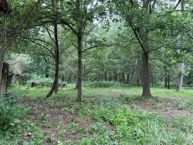 Bosgrond te koop gelegen De Potters te Herselt foto 3