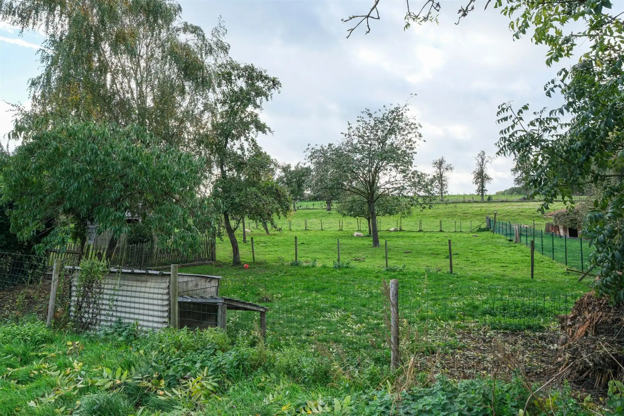 Te renoveren woning in het groen foto 5