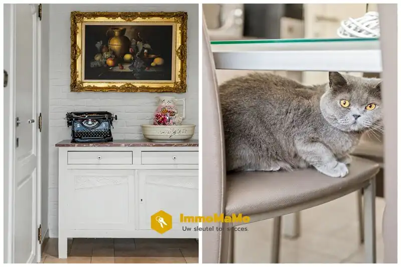 INSTAPKLARE WONING, CENTRAAL GELEGEN IN WACHTEBEKE - TE KOOP foto 27