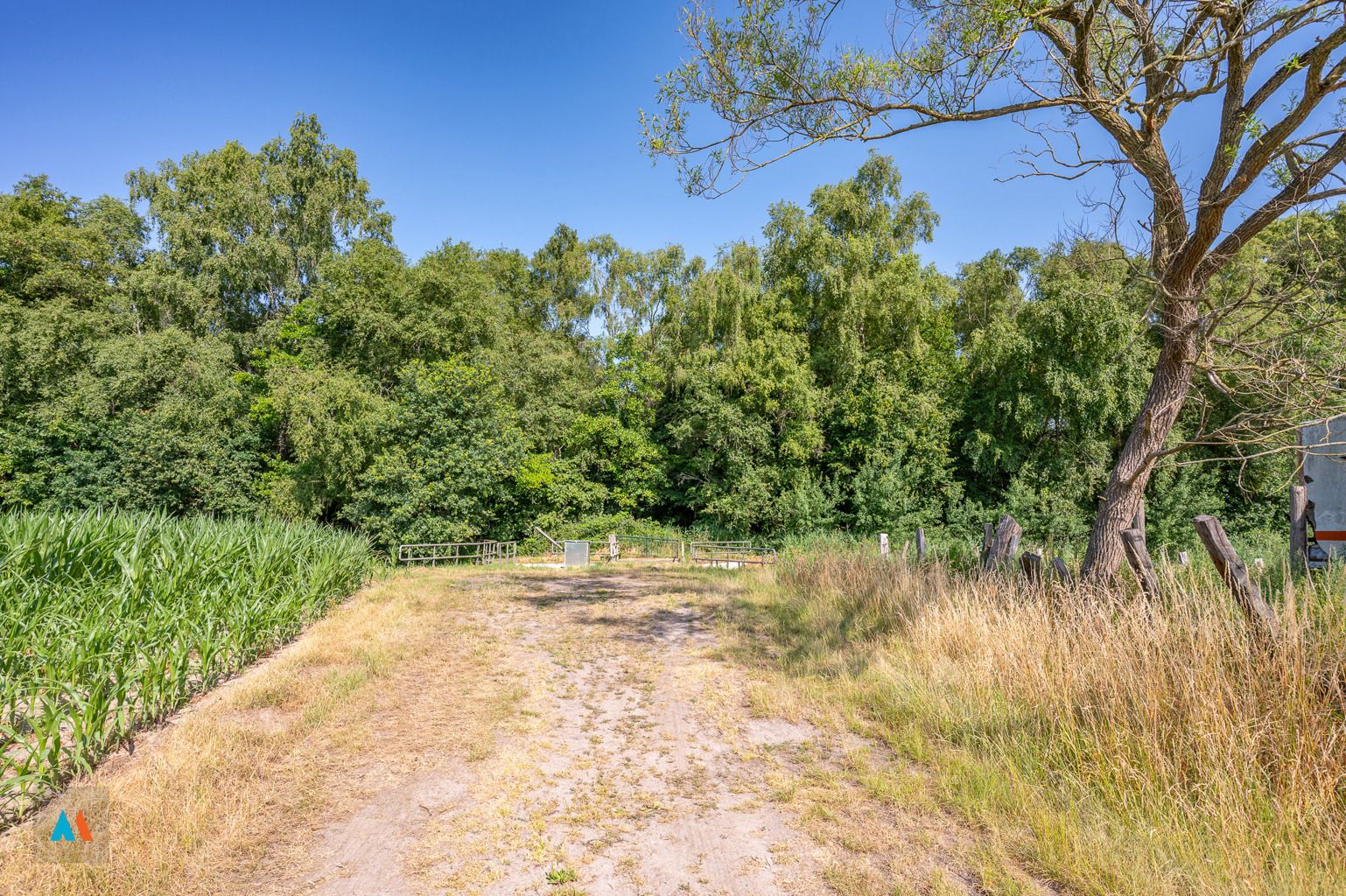 Perceel natuurgrond foto 6