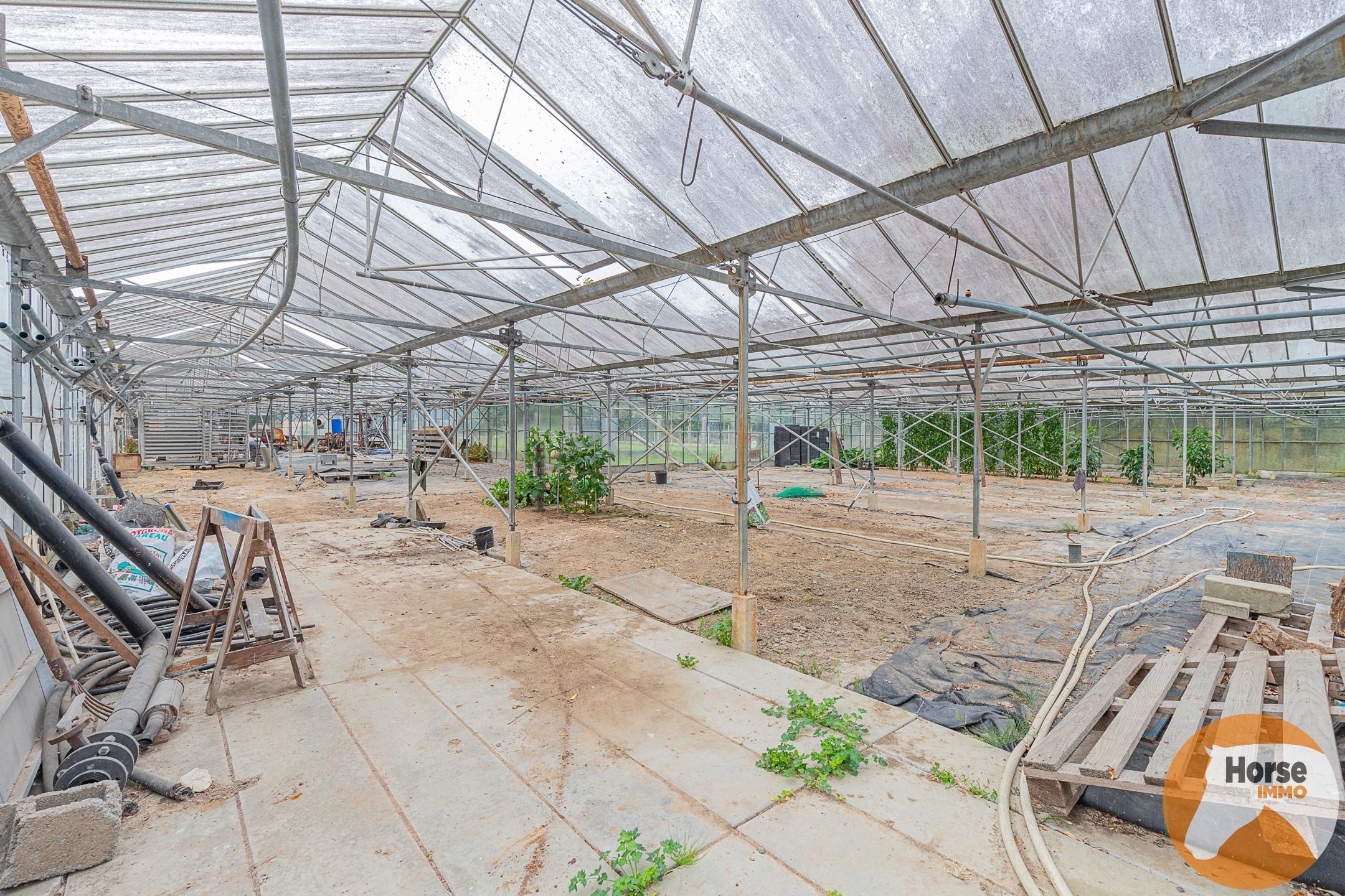 ERPE-MERE - Goed onderhouden woning met magazijn en serres foto 25