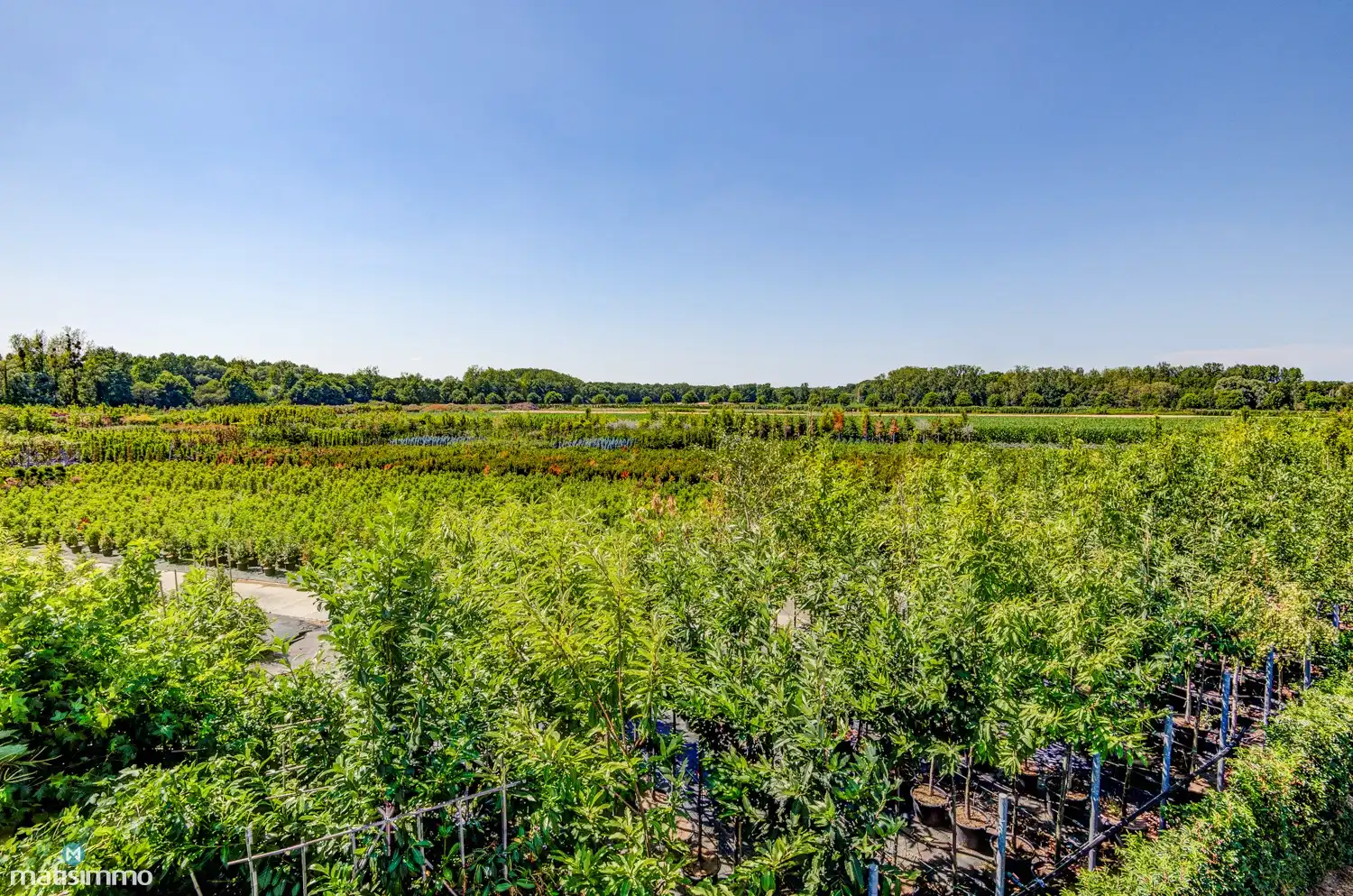 ENERGETISCH GERENOVEERDE GEZINSWONING MET 3 SLAAPKAMERS EN RUIME TUIN TE VLIERMAALROOT foto 35