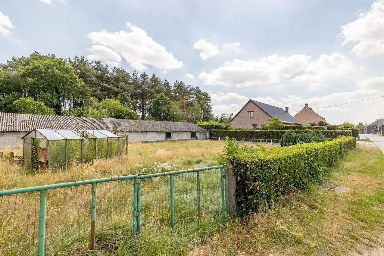 ZOgericht, 11 a13 ca, ontwikkelingsmogelijkheden foto 10