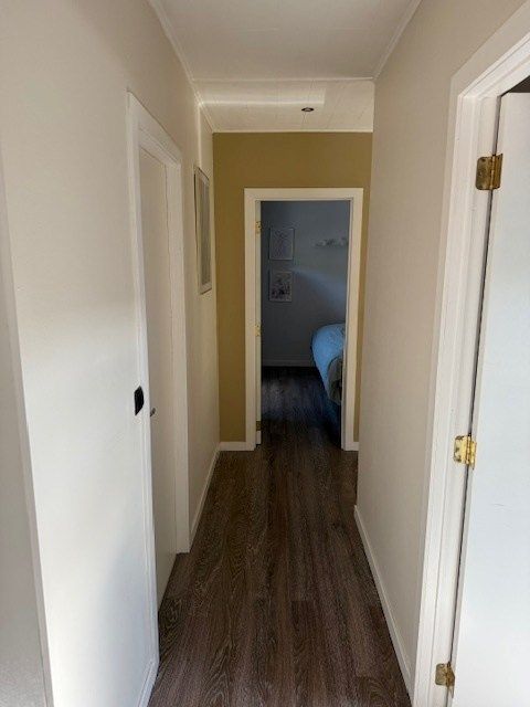 Voor sfeer en gezelligheid : 10 op 10. foto 18