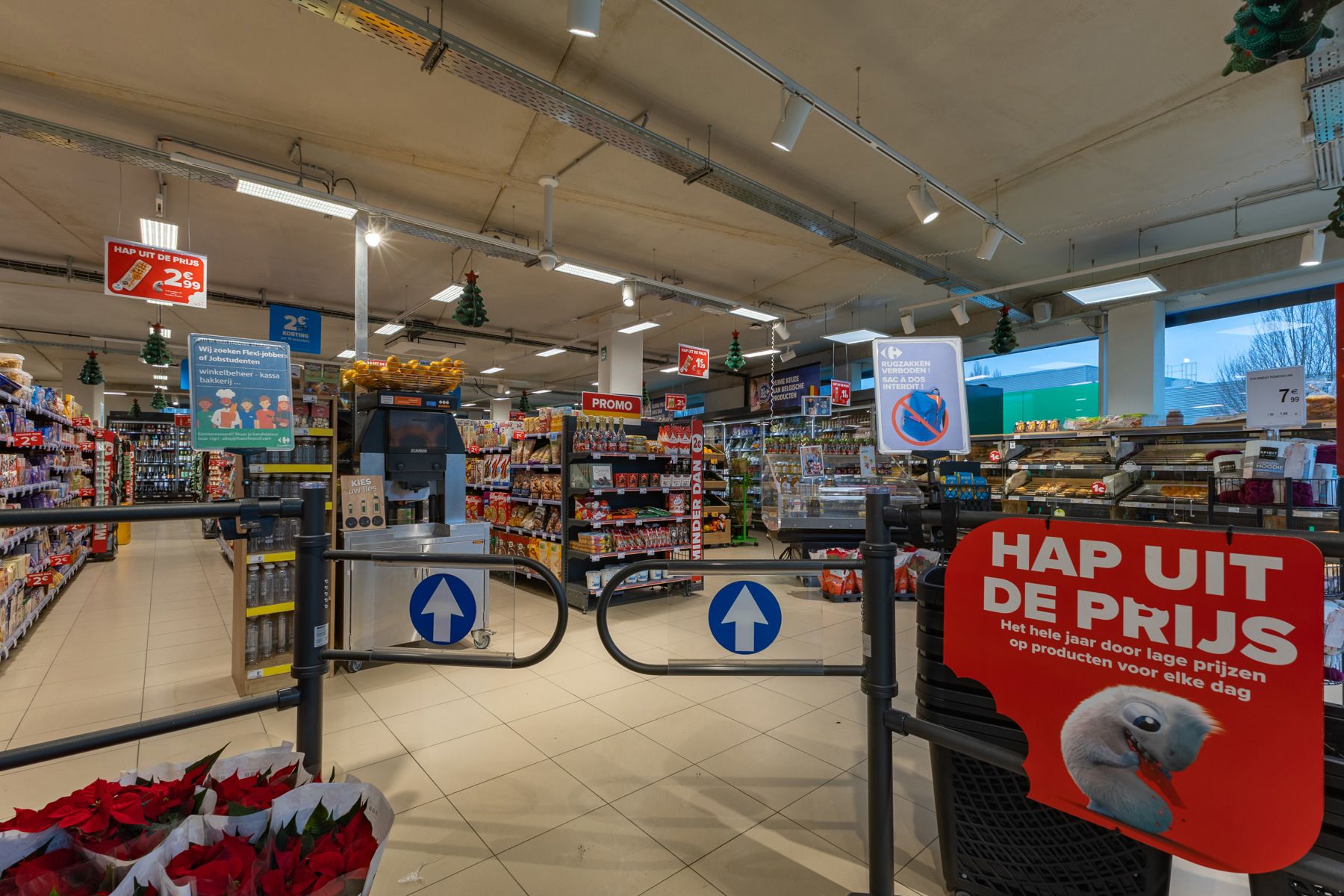 Commercieel gelijkvloers (392 m2)  foto 2