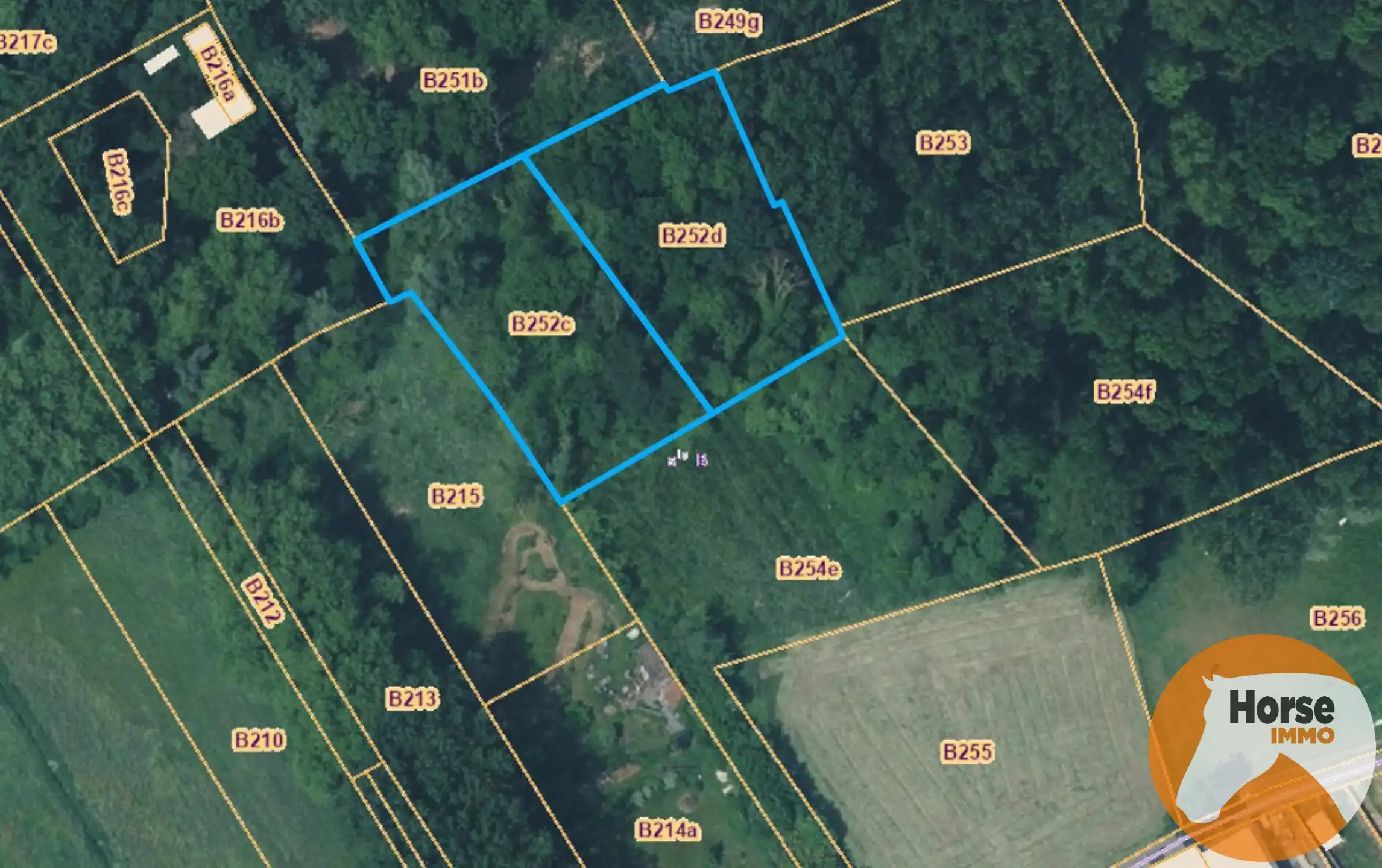 OORDEGEM – Bos van 38a 10ca foto {{pictureIndex}}