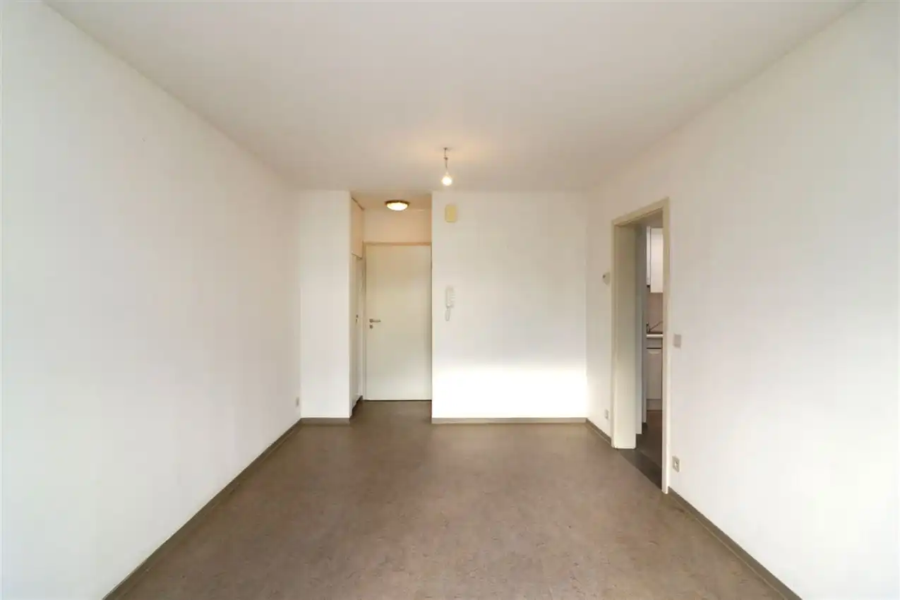 App. met één slaapkamer, autostaanplaats, nabij centrum foto 3