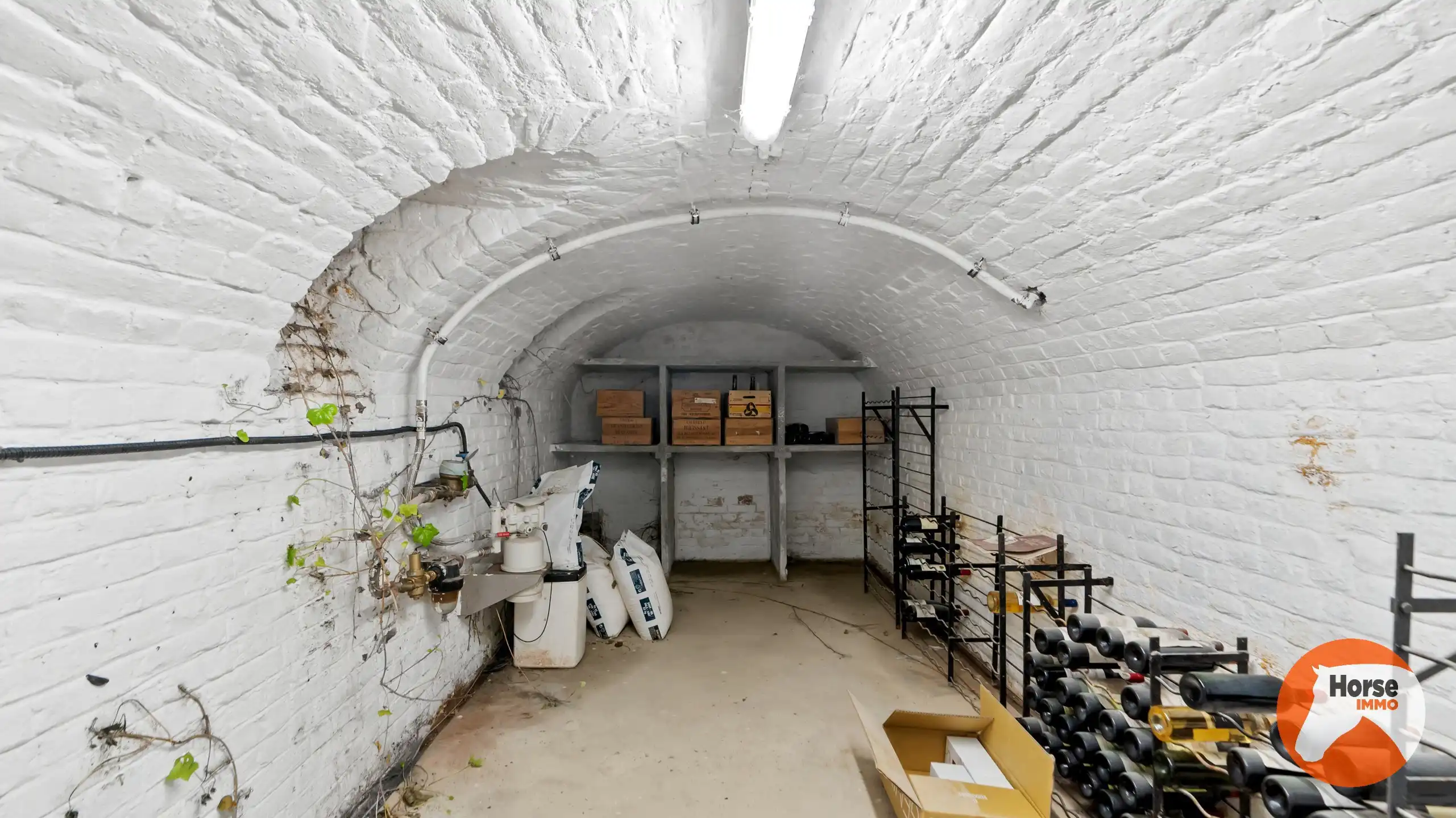 FRASNES - Exclusieve eigendom met 3 woonentiteiten en B&B foto 16
