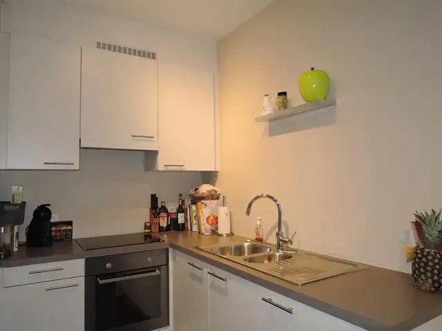 ANTWERPEN - appartement met zuid terras en parking foto 4