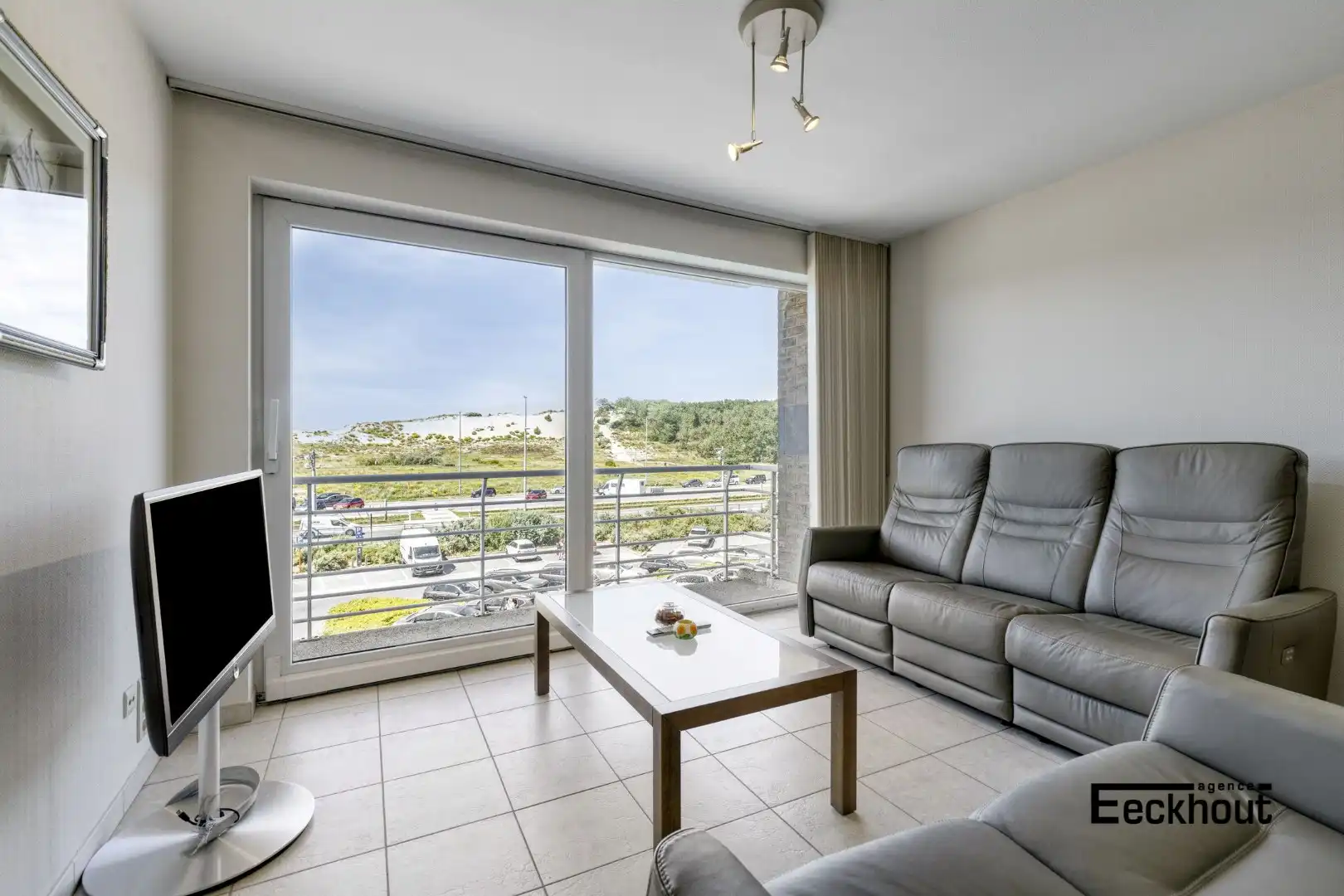 Instapklaar appartement met mooi terras en open zicht op de Bredense duinengordel. foto 2