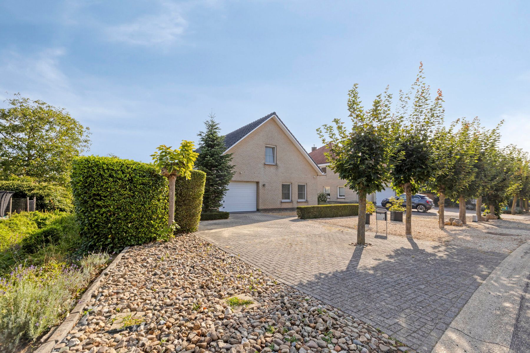 Lichtrijke woning met 3 slaapkamers in stadskern Maaseik.  foto {{pictureIndex}}