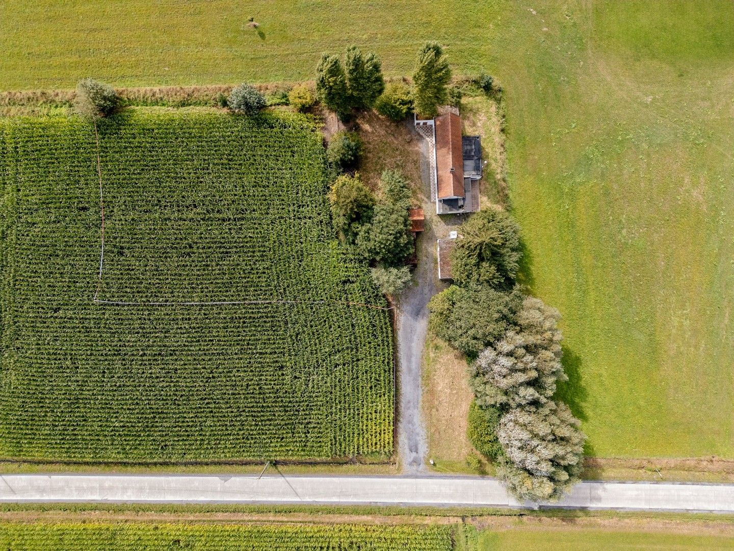 Volledig te renoveren landelijk knus woonhuis of zelf te bouwen woning op deze prachtige locatie in Ingooigem foto 6