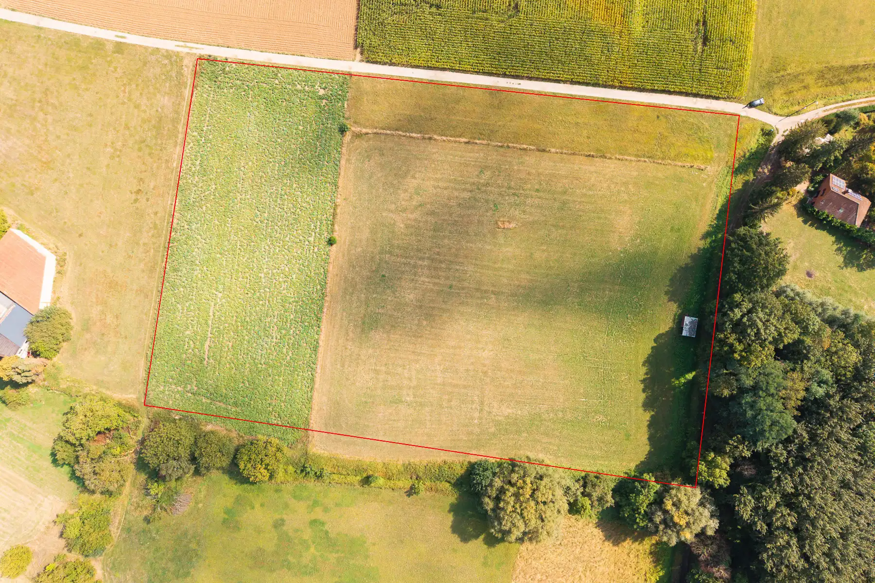 Ruim perceel landbouwgrond van 50are te Kampenhout foto 4