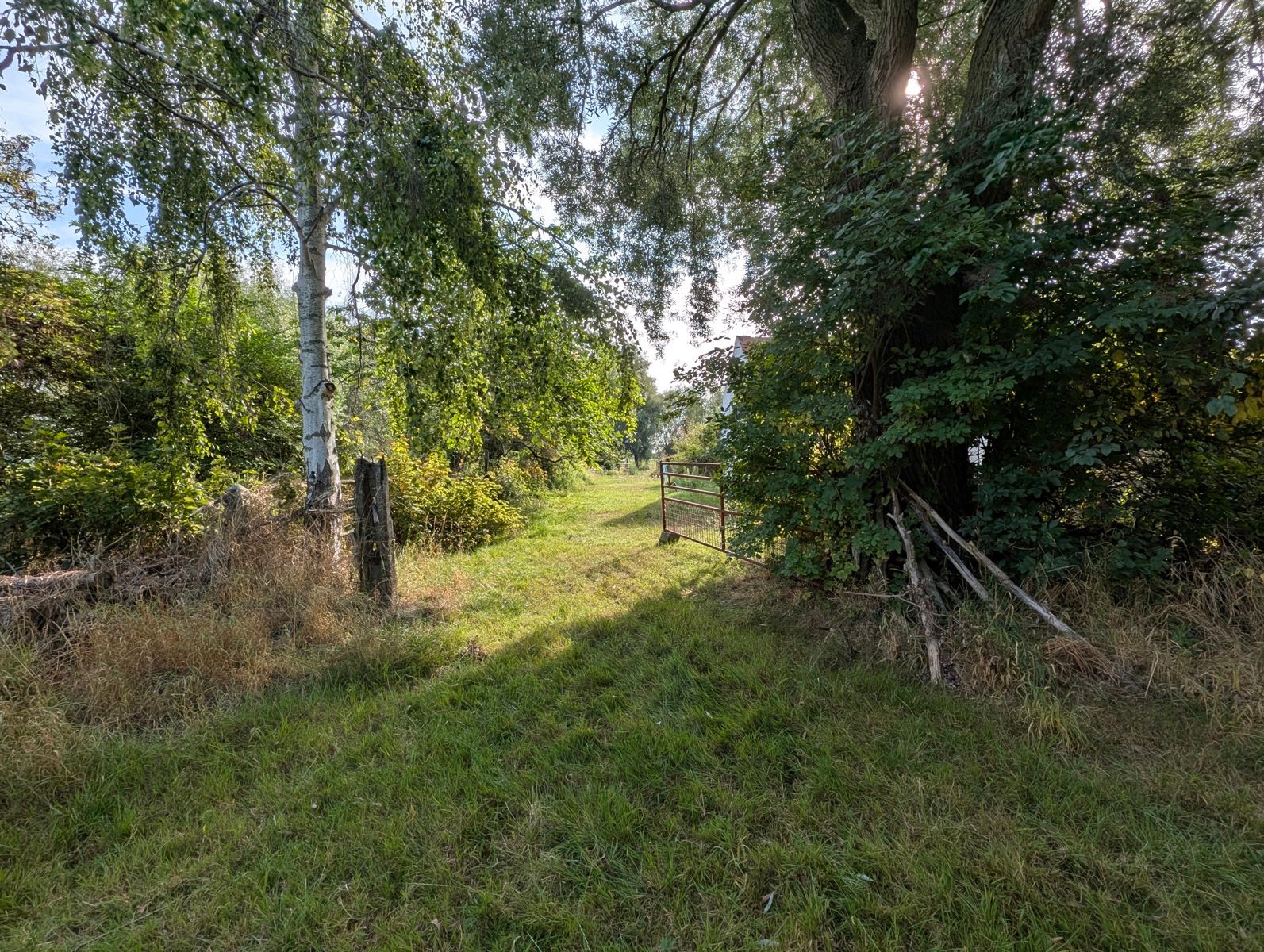 Authentieke hoeve te koop , Adinkerke foto 11
