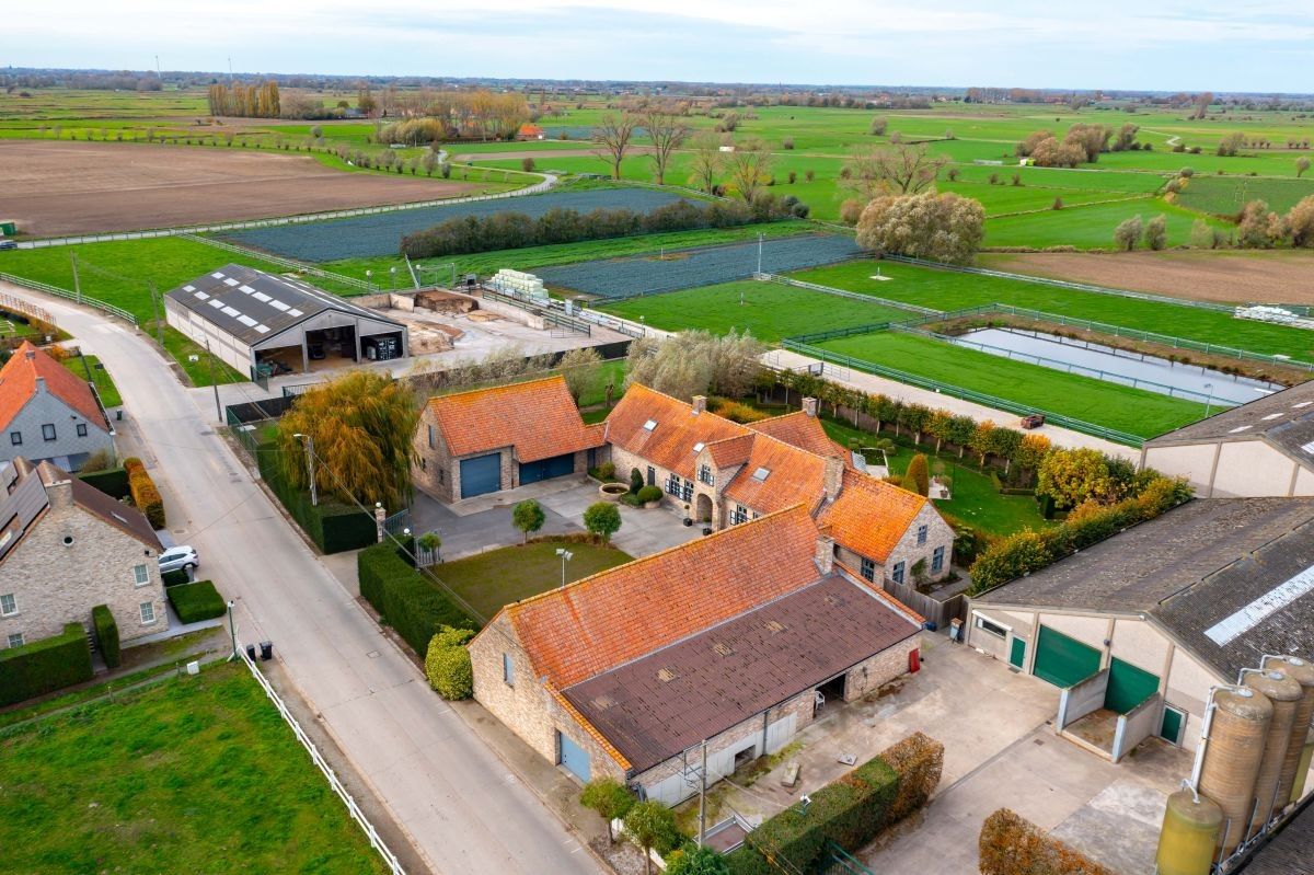 Groot vleesveebedrijf te koop te Diksmuide foto 7