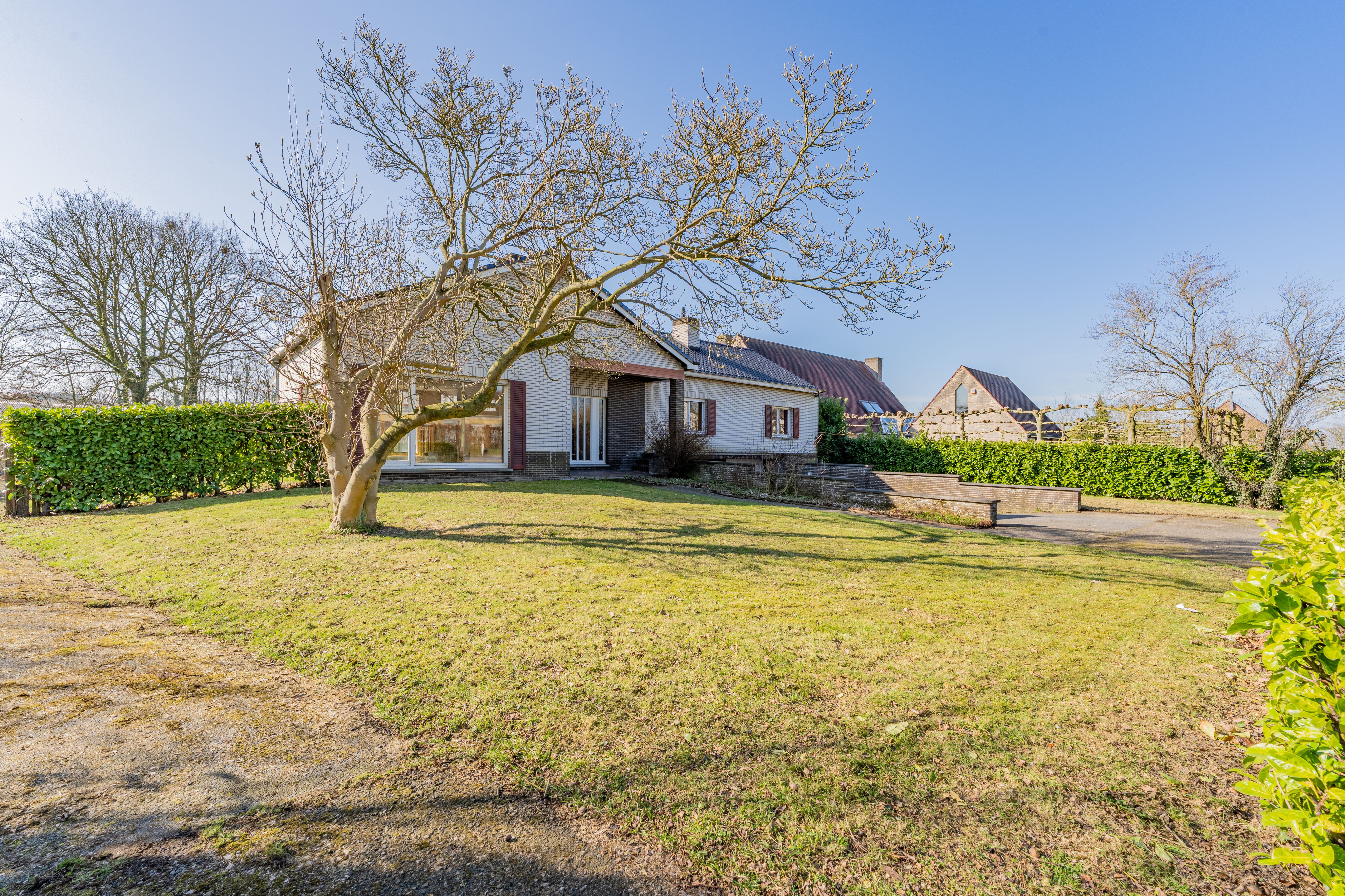 Hoofdfoto van de publicatie: Ruime woning op een perceel van 2.200 m2