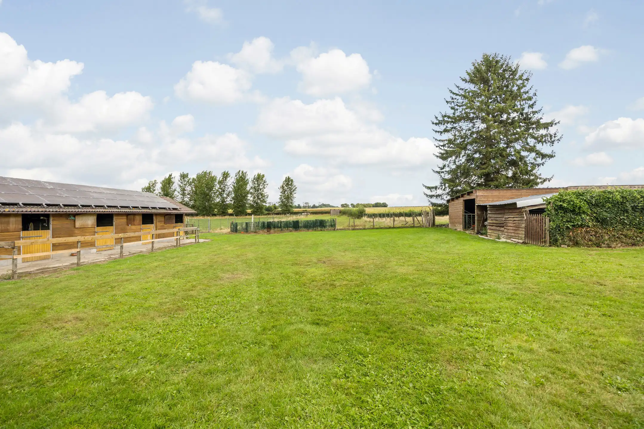 Vrijstaande bungalow met paardenweides op 84a39ca foto 30