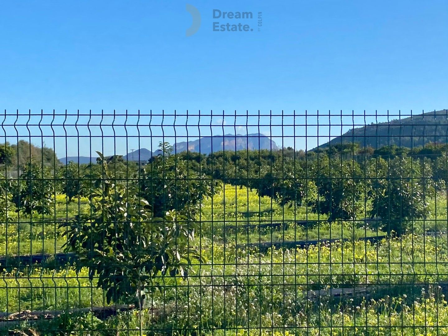 Villa Benidoleig – Exclusieve Nieuwbouwvilla met Avocadoplantage en Panoramisch Uitzicht Benidoleig, Costa Blanca foto 8