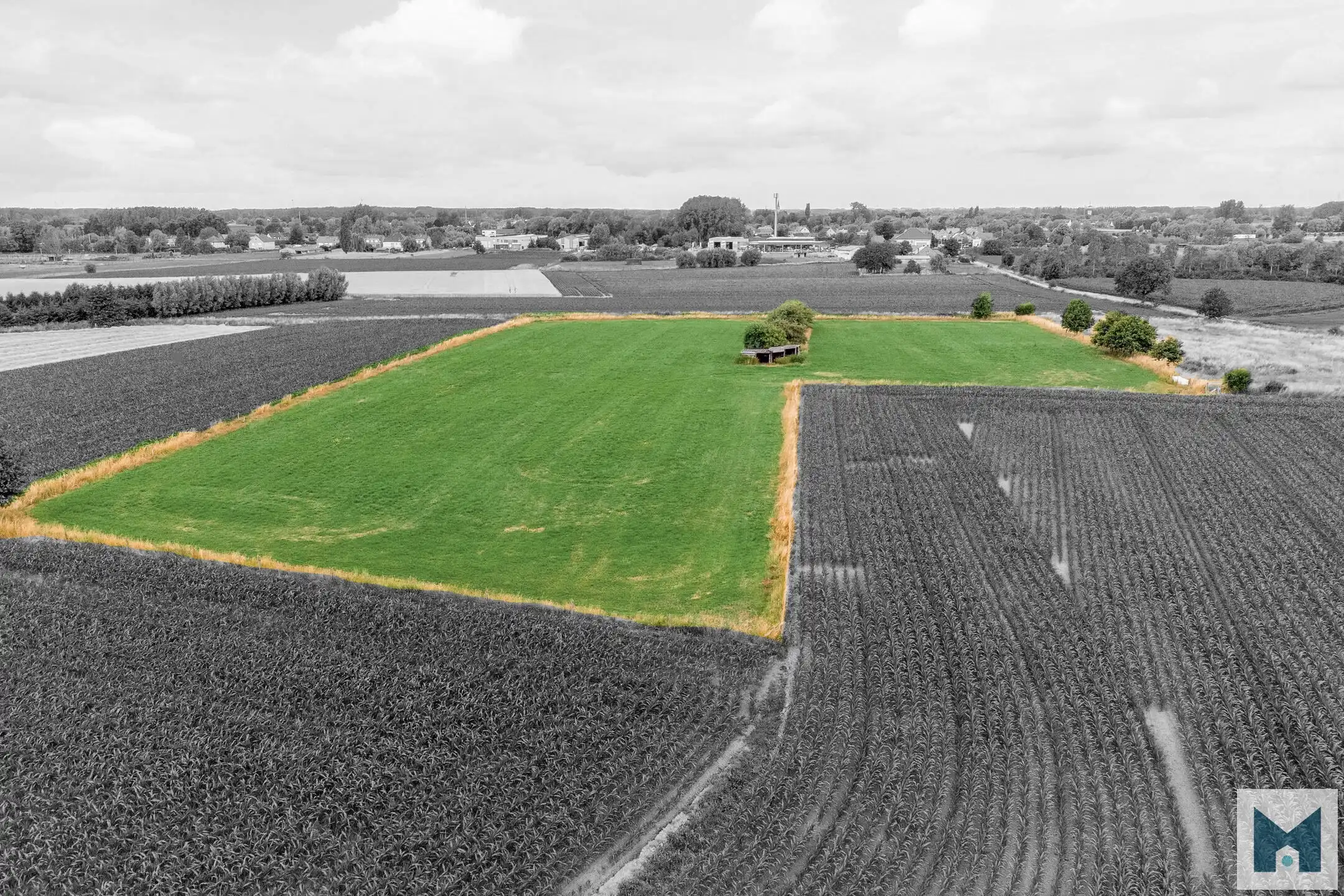 Prachtig weiland van maar liefst 1,864 hectare!  foto 7