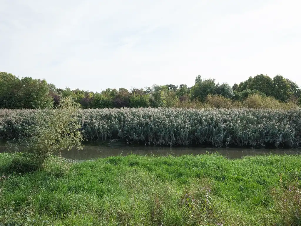 Sint-Amandsberg. Op te frissen directeurswoning met bijhorend magazijn en afzonderlijke loft op een boogscheut van het centrum van Gent. foto 29