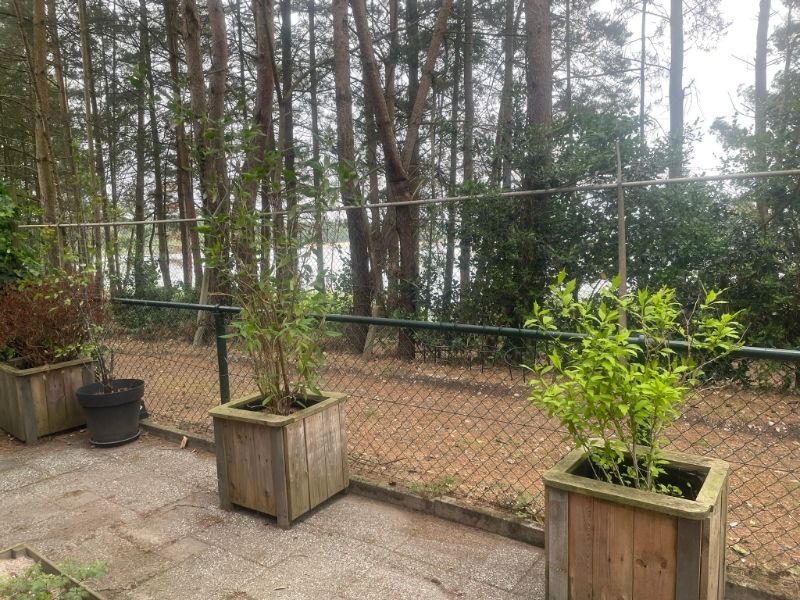 Charmante vakantiewoning foto 15