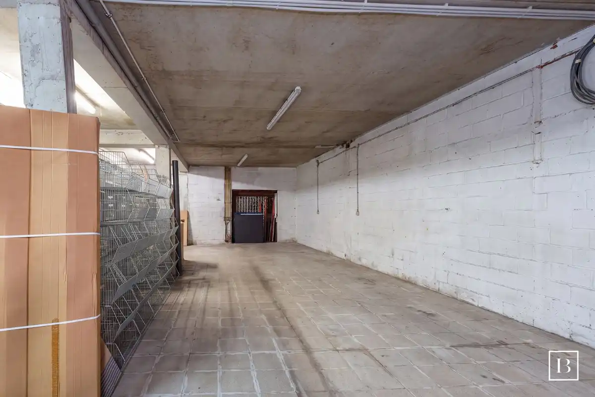Multifunctioneel pand met loods (ca. 150m²) en woonst foto 19