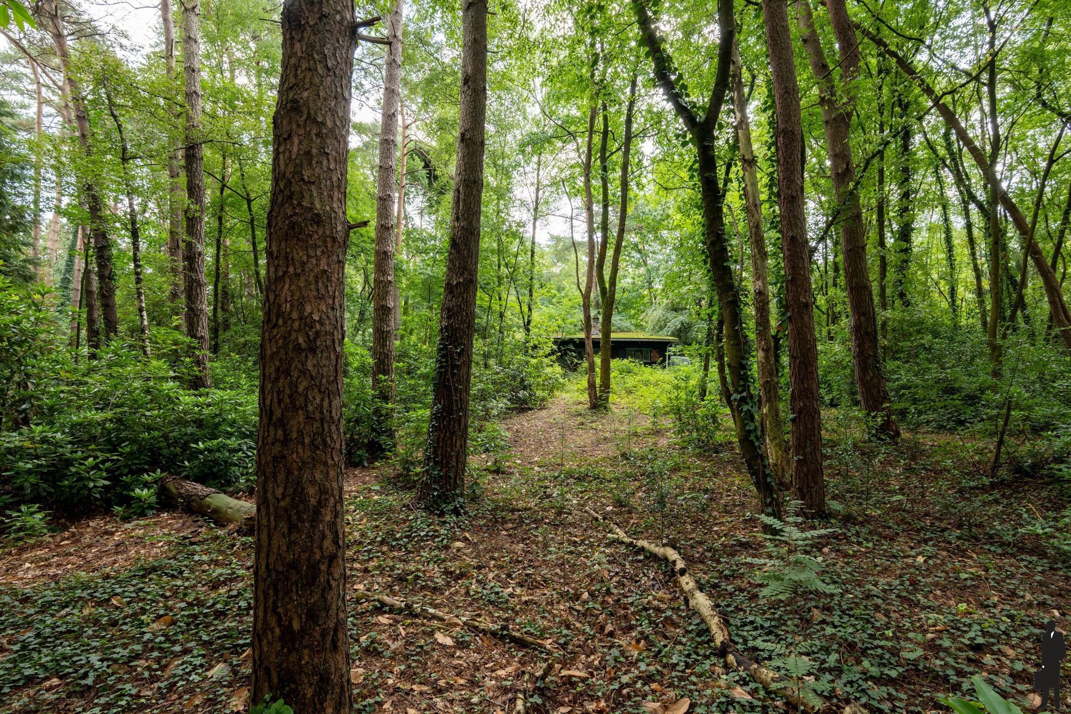 Bouwgrond met af te breken chalet foto 8