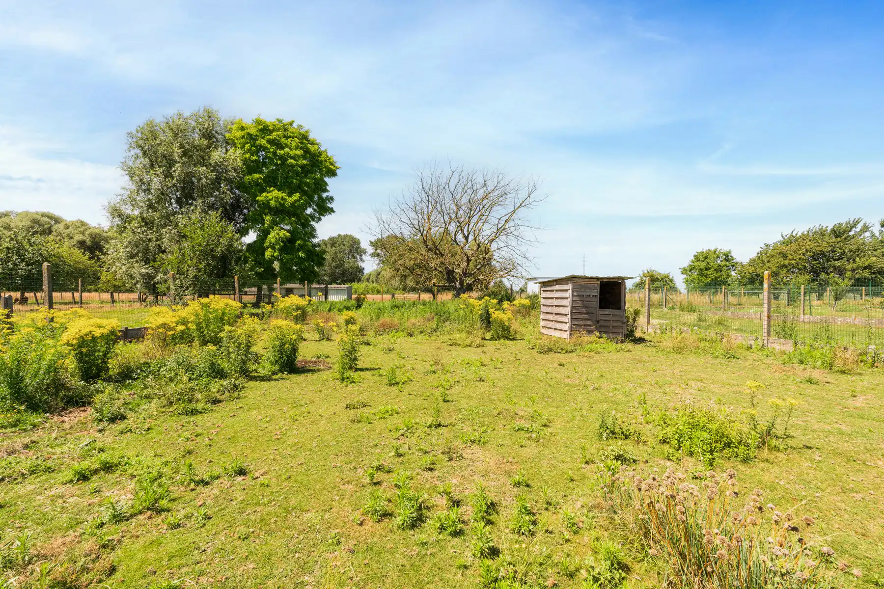 Goed onderhouden bungalow op ruim perceel!  foto 14