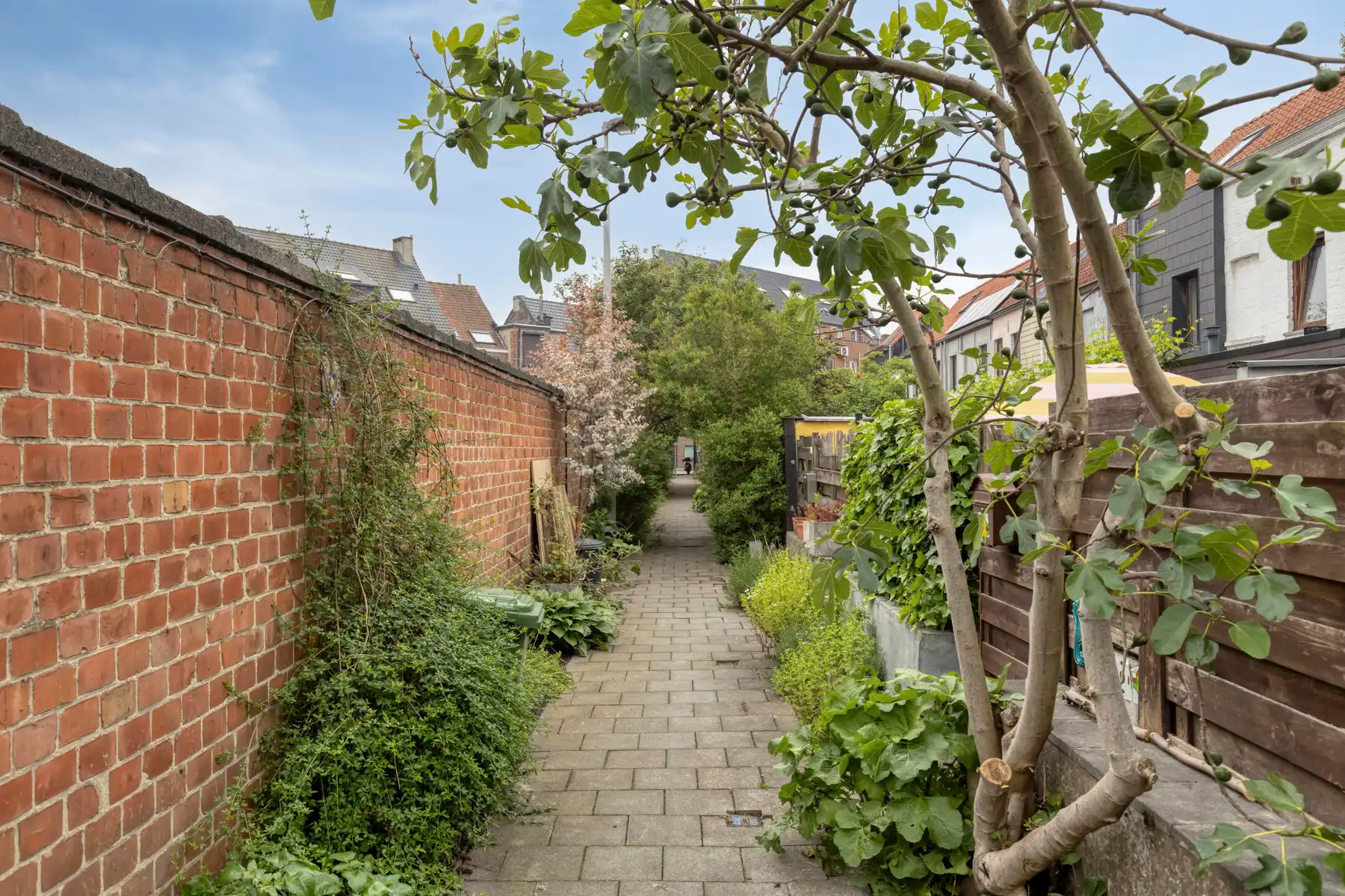 TE KOOP - charmante stadwoning in rustige straat  foto 12