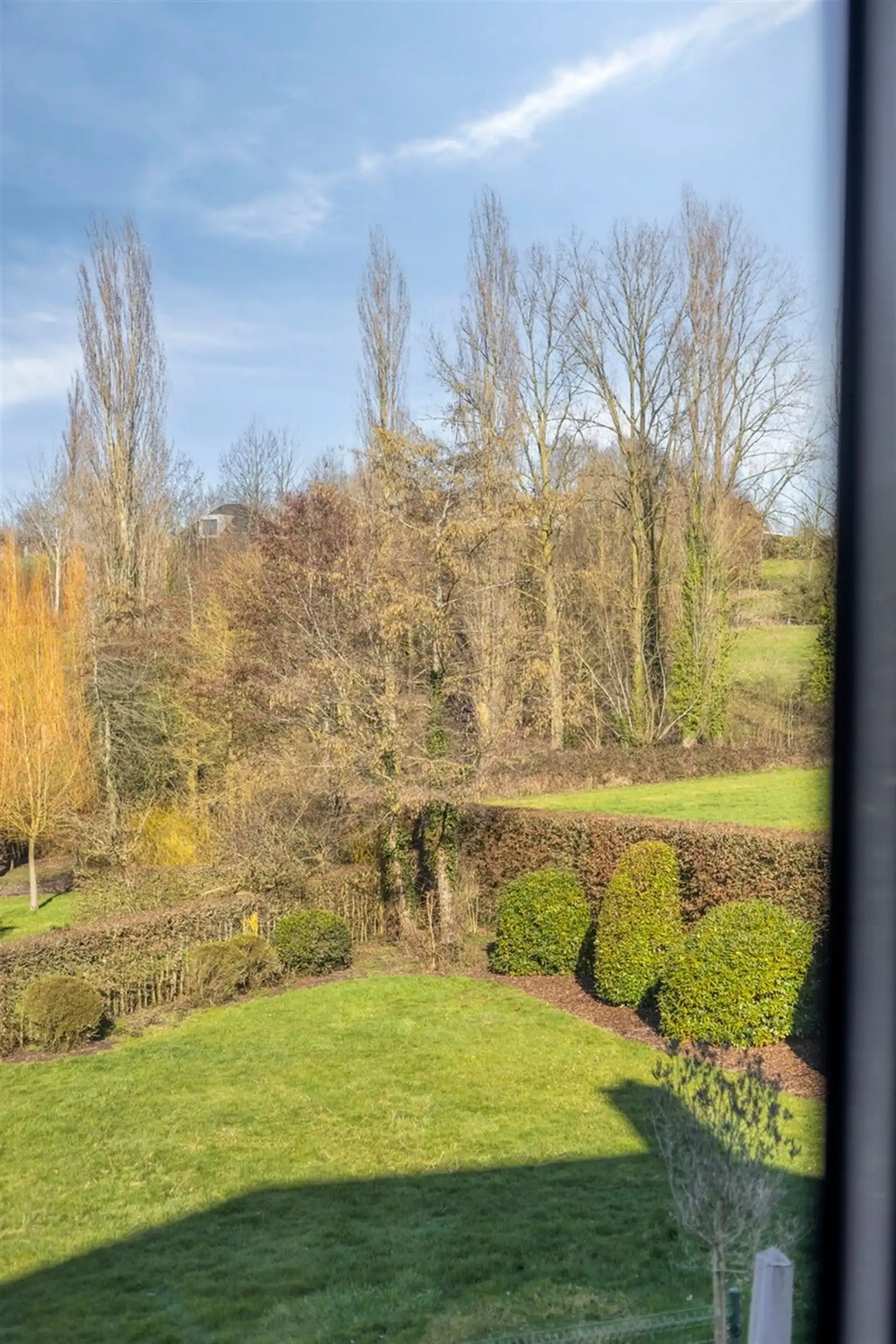 Riante villa op 3465 m2 in deelgemeente Volkegem foto 15